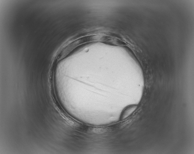 X0000073980341200609181722