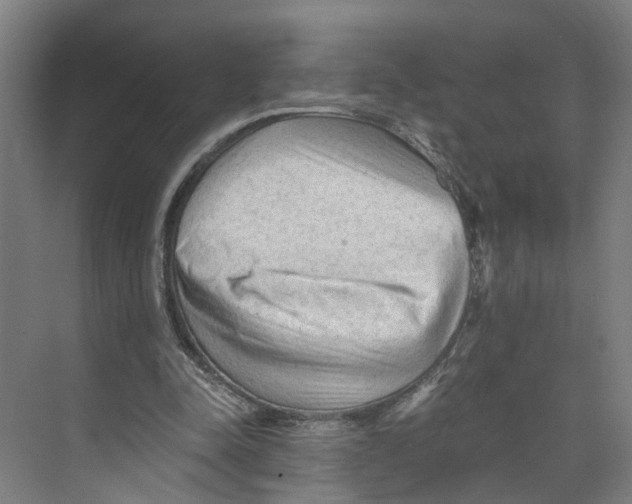 X0000073980342200609181722