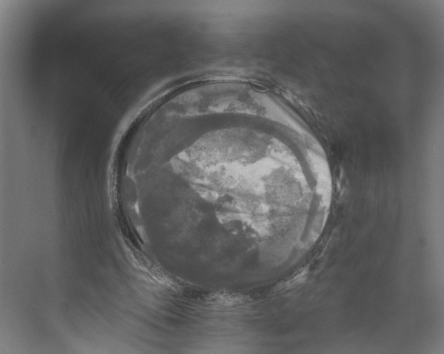 X0000073980343200609181722