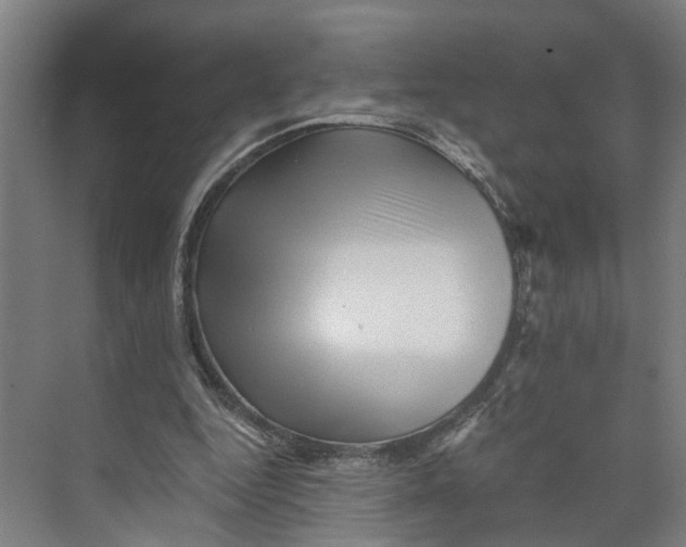 X0000073980344200609181722