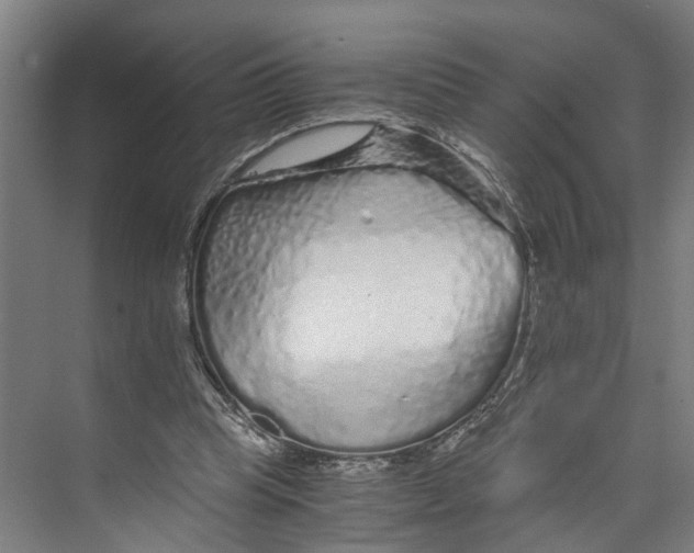 X0000073980345200609181722