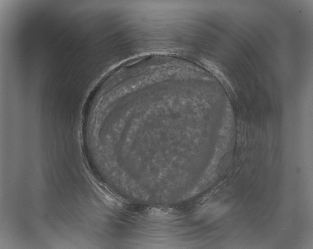 X0000073980346200609181722