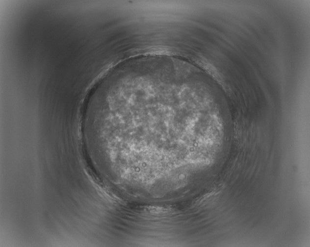 X0000073980347200609181722