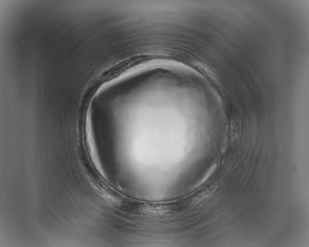 X0000073980349200609181722