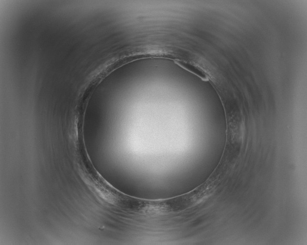 X0000073980350200609181722