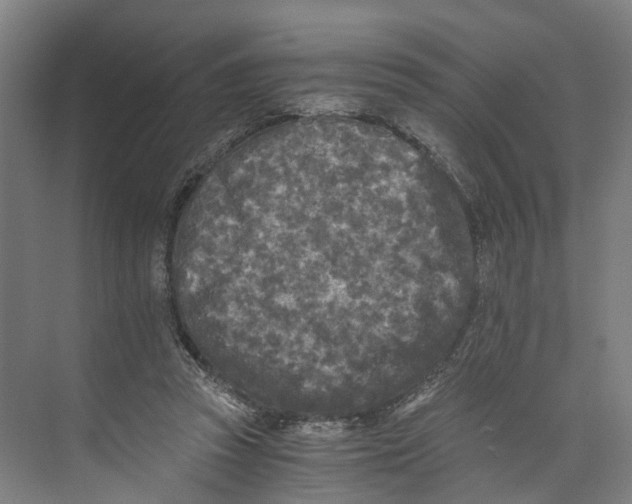 X0000073980353200609181722