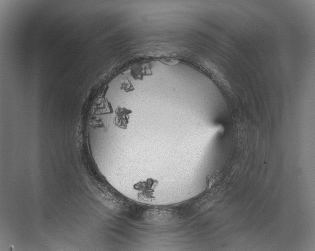 X0000073980354200609181722