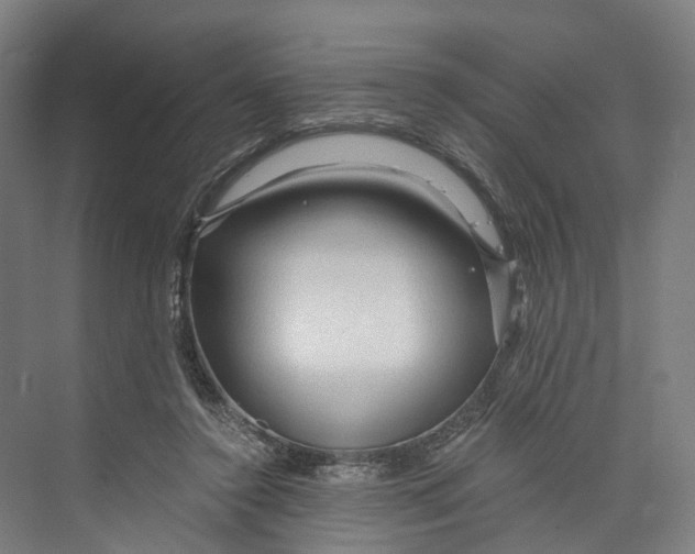 X0000073980356200609181722