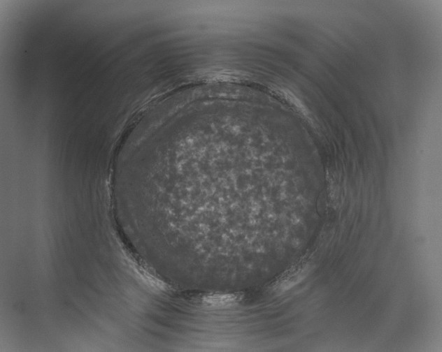 X0000073980357200609181722