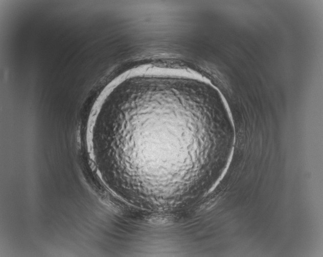 X0000073980358200609181722