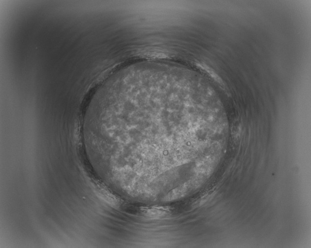 X0000073980359200609181722