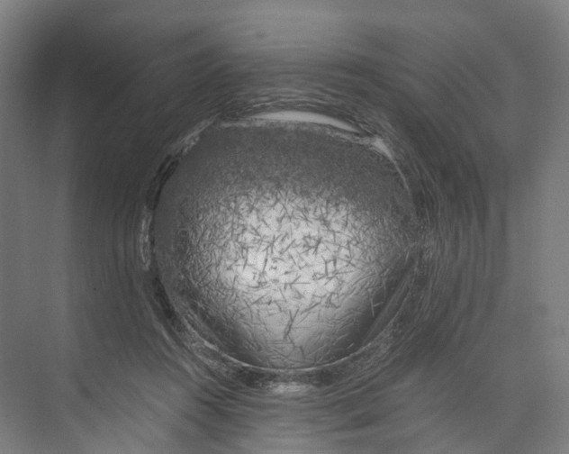 X0000073980360200609181722