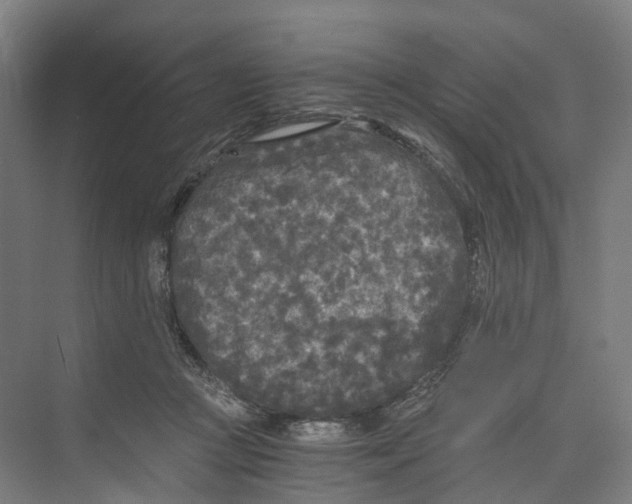 X0000073980361200609181722