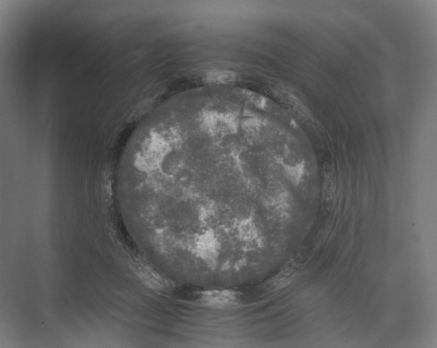 X0000073980363200609181722