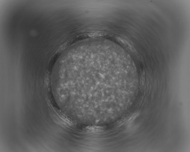 X0000073980367200609181722