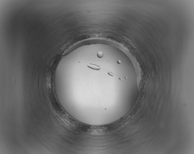 X0000073980368200609181722