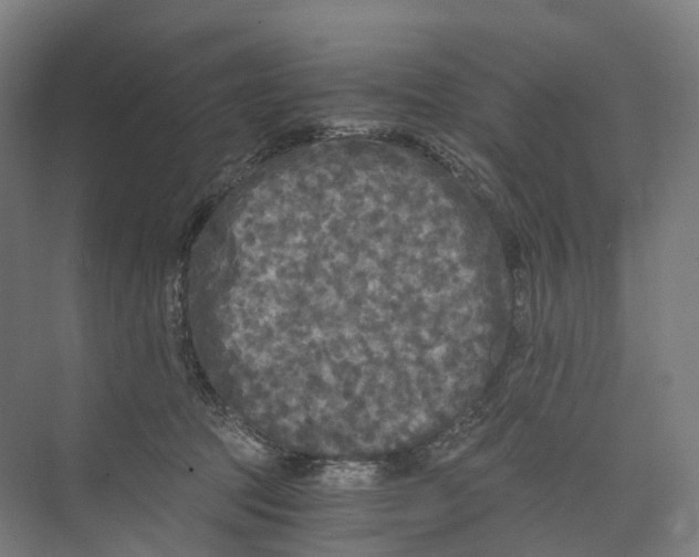 X0000073980369200609181722