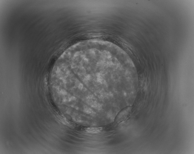 X0000073980373200609181723