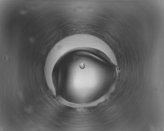 X0000073980376200609181723