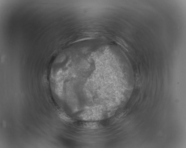 X0000073980377200609181723