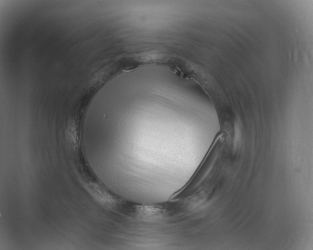 X0000073980380200609181723