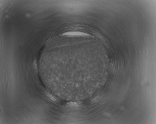 X0000073980381200609181723