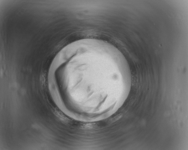 X0000073980382200609181723