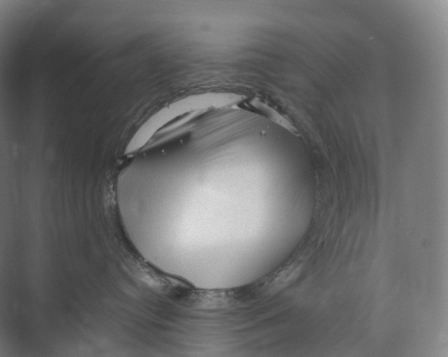 X0000073980384200609181723