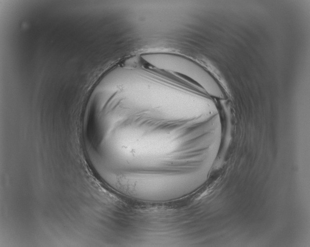 X0000073980385200609181722