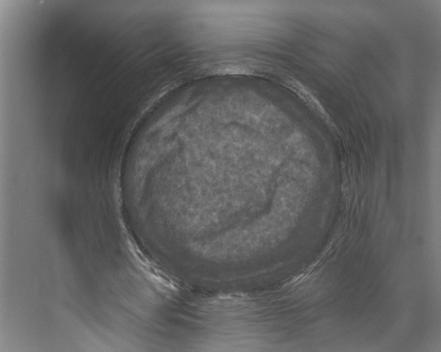 X0000073980386200609181722