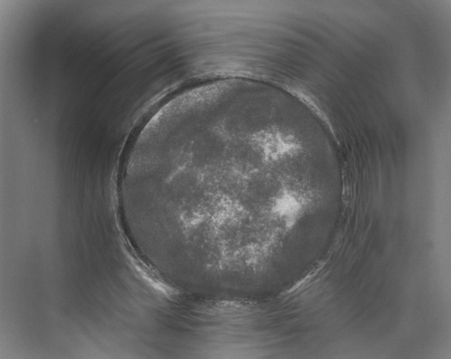 X0000073980390200609181722