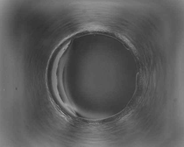 X0000073980391200609181722