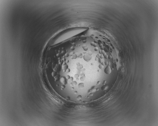 X0000073980392200609181722