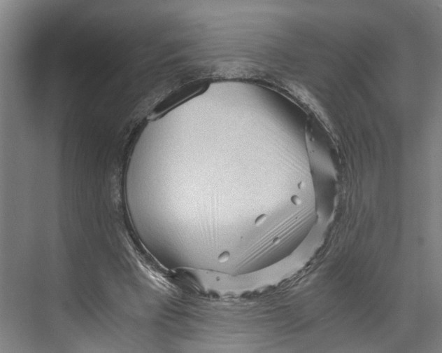 X0000073980393200609181722