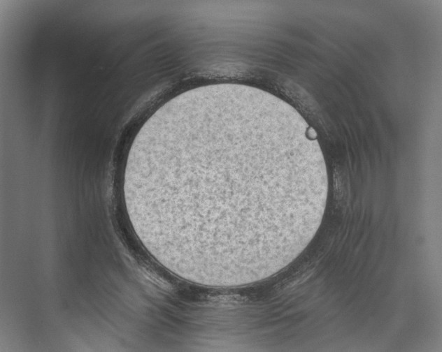 X0000073980396200609181722