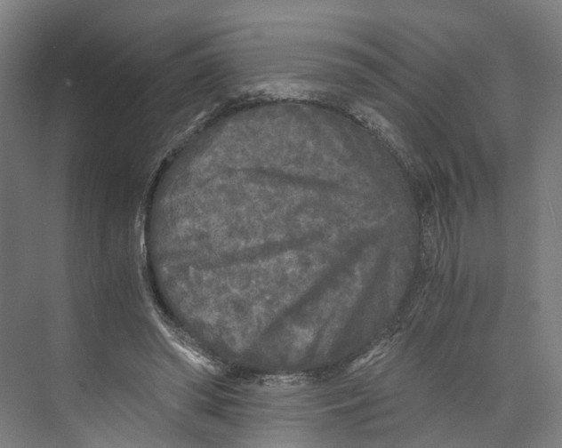 X0000073980398200609181722