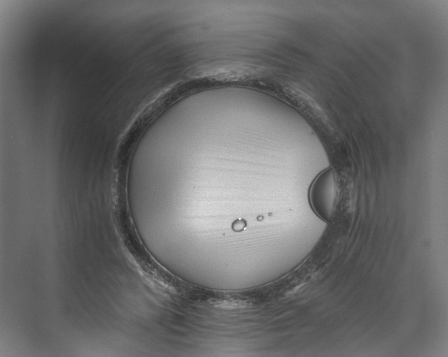 X0000073980400200609181722