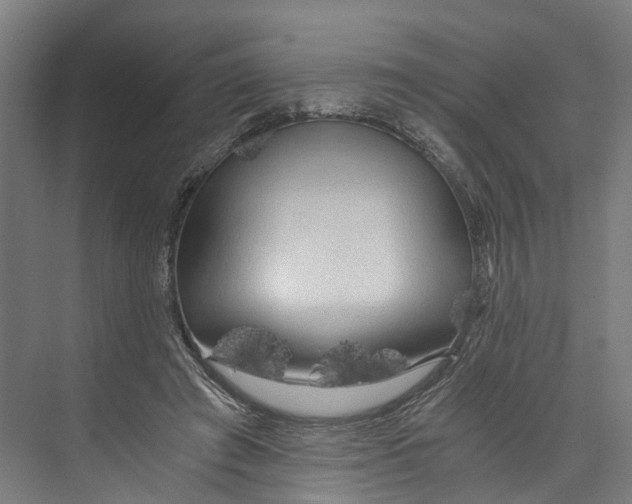 X0000073980401200609181722