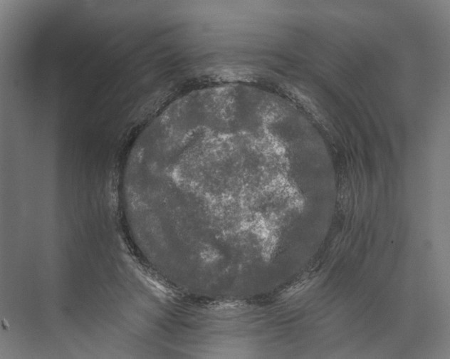 X0000073980402200609181722