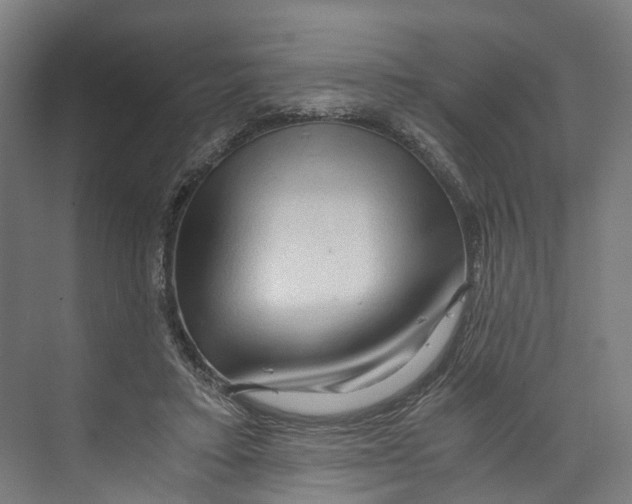 X0000073980403200609181722