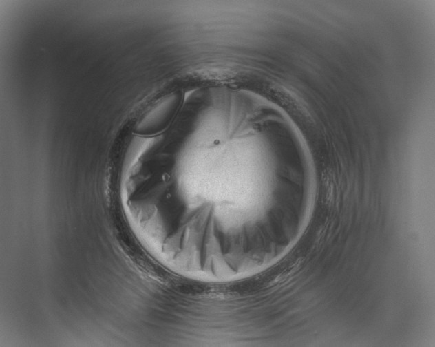 X0000073980404200609181722