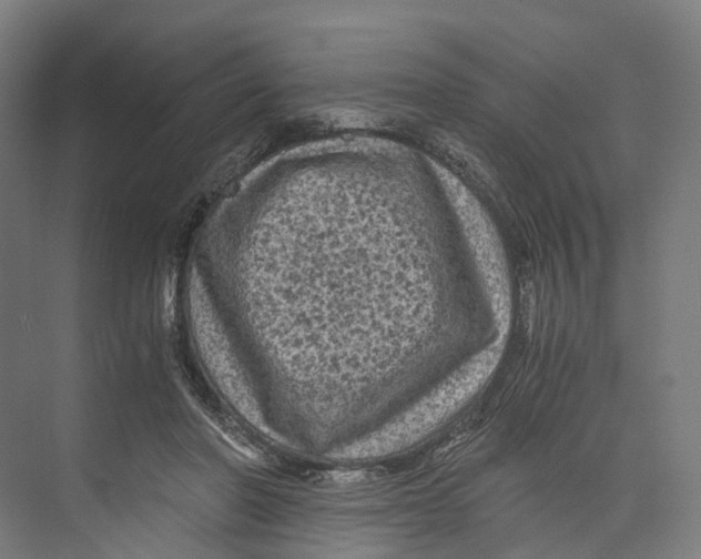 X0000073980406200609181722