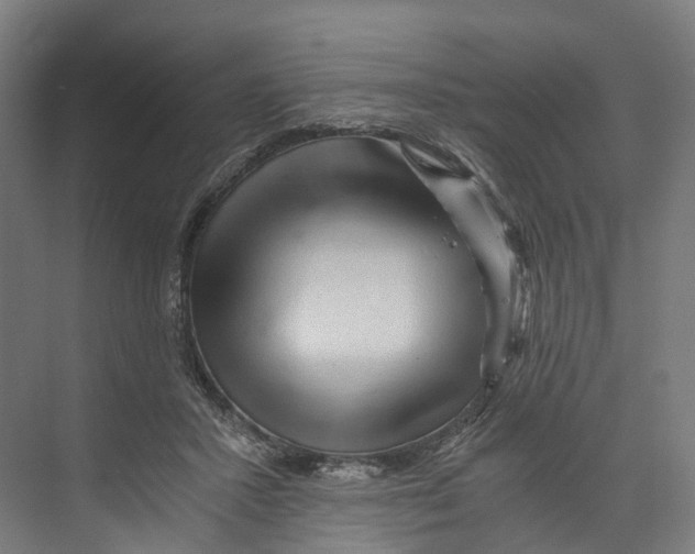 X0000073980407200609181722