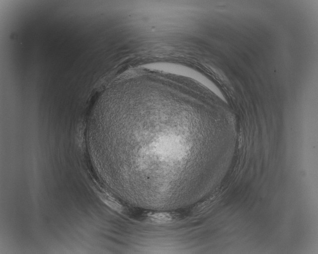 X0000073980409200609181721