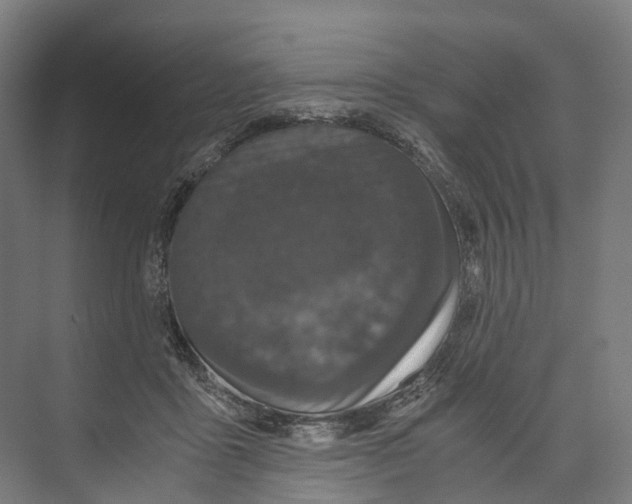 X0000073980411200609181721