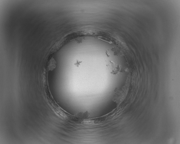 X0000073980413200609181721