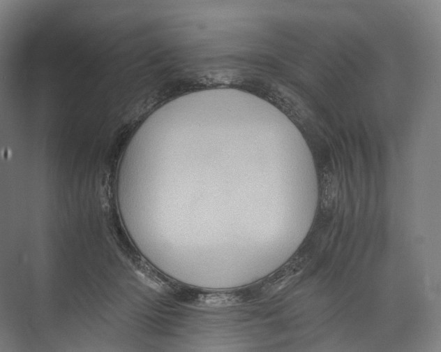 X0000073980414200609181721