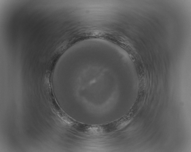 X0000073980415200609181721