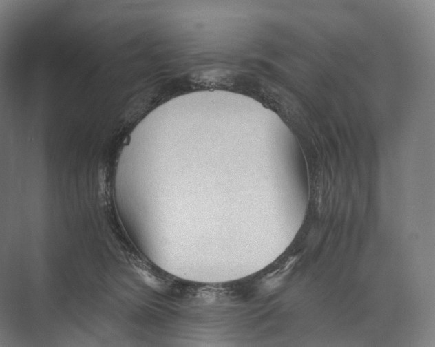 X0000073980420200609181721