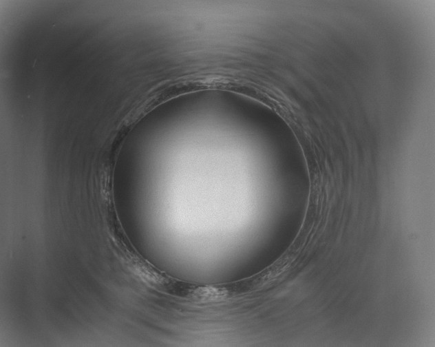 X0000073980421200609181721